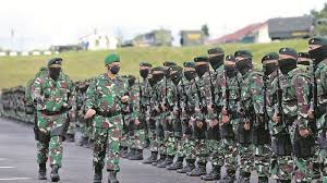 Misi Pamtas ke Papua